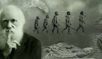 Реформы в школьном образовании Турции: джихад вместо теории эволюции Дарвина