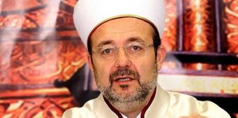 Реакция египетского ученого на доклад Министерства по делам религии Турции о движении Хизмет