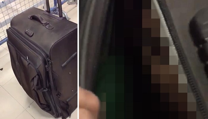 Мальчик был вынужден покинуть страну в чемодане чтобы воссоединиться с родителями   