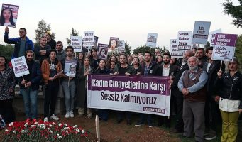 За первый месяц 2018 года в Турции убито 28 женщин