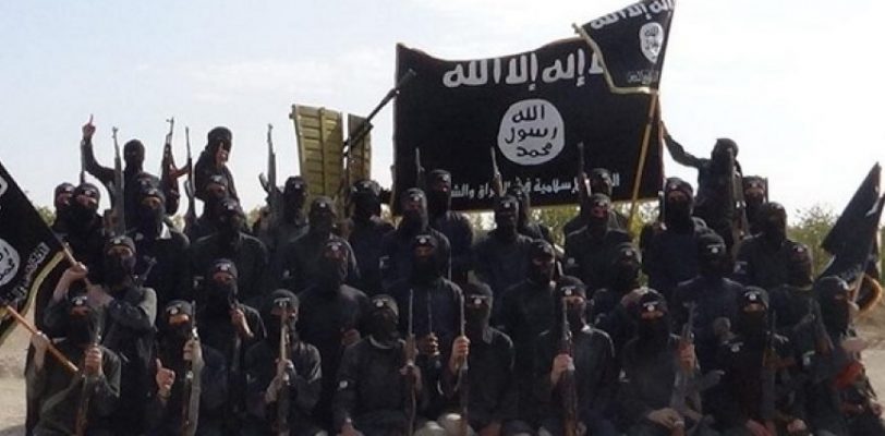 В Турцию вернулись 900 террористов ИГИЛ   