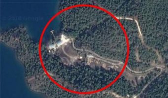 Для летнего дворца Эрдогана вырублено 40 тысяч деревьев   