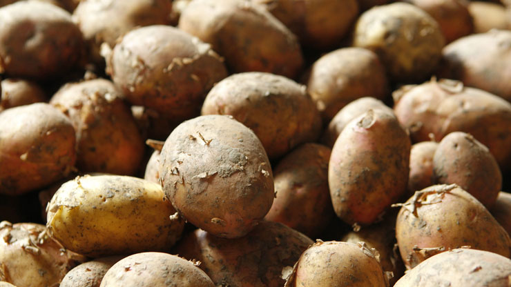 Грузия на три месяца ввела ограничение на ввоз картофеля из Турции 