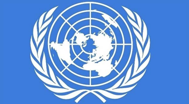 Верховный комиссар ООН призвал власти Турции отменить чрезвычайное положение накануне всеобщих выборов