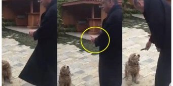 Проправительственные СМИ показали, как Эрдоган кормит огурцом собаку. Соцсети упали со смеху: Принял собаку за барана!   