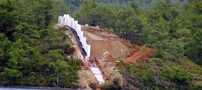 Под строительство летней резиденции Эрдогана вырубили 50 тысяч деревьев   