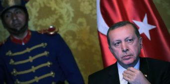 Германский политик из партии Зелёных, которой угрожали убийством: Эрдоган «запудрил мозги» туркам
