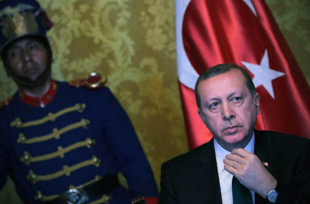Германский политик из партии Зелёных, которой угрожали убийством: Эрдоган «запудрил мозги» туркам