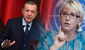 Глава МИД Швеции: Эрдоган не может учить демократии   