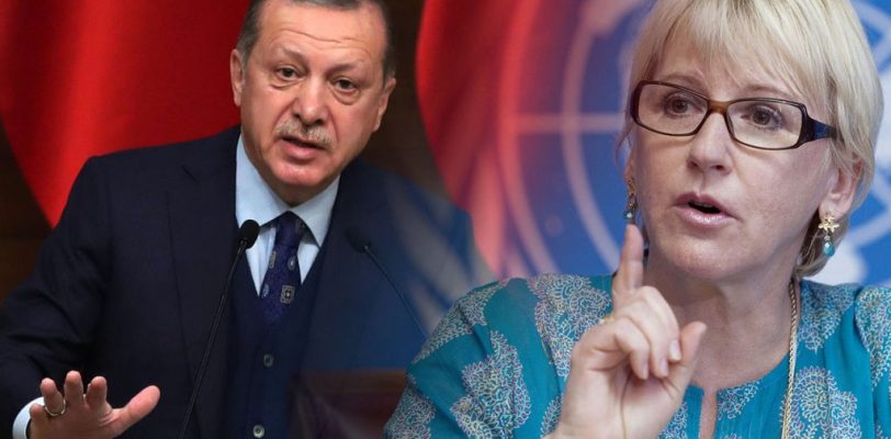 Глава МИД Швеции: Эрдоган не может учить демократии   