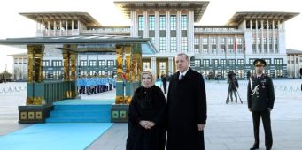 Эрдоган прибирает к рукам дворцы