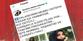 Бывший мэр Анкары назвал невинную девушку провокаторшей 