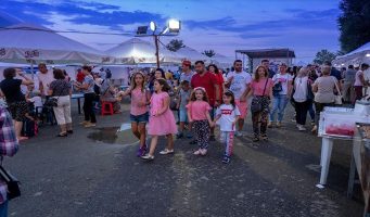 Добровольцы движения Хизмет передадут собранные с благотворительного фестиваля средства в помощь пострадавшим от лесных пожаров в Греции