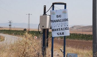 Первая смерть от сибирской язвы в Турции