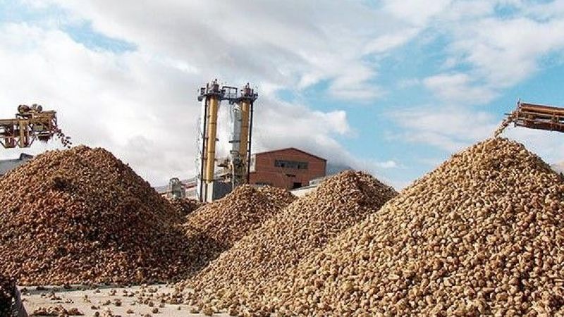 На средства от продажи сахарных заводов правительство ПСР строит тюрьмы  