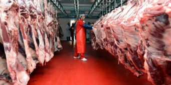 Правительство ПСР завезет из Сербии 5 тысяч тонн мяса