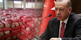 «Луковая война» Эрдогана вызвала смех в Западных СМИ