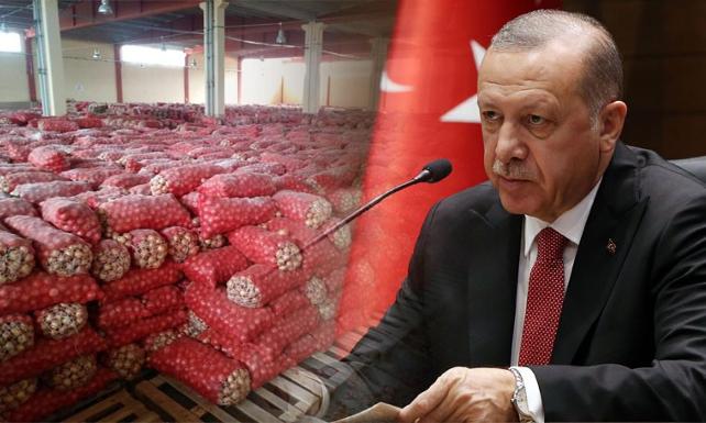 «Луковая война» Эрдогана вызвала смех в Западных СМИ