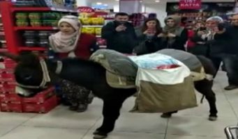 Протест жителя турецкого города: На осле за покупками   