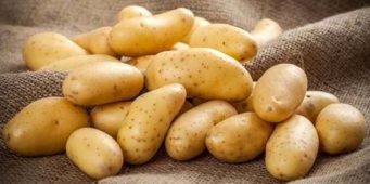 По росту цен на картофель Турция на втором месте в мире