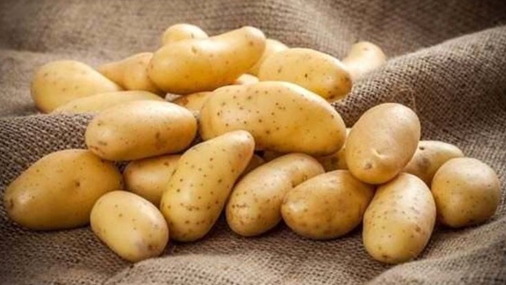 По росту цен на картофель Турция на втором месте в мире
