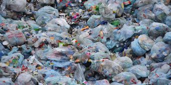 Турция – новый адрес всемирной свалки для пластиковых отходов   
