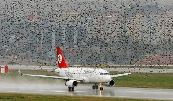 Новый аэропорт Стамбула не мог принимать самолеты