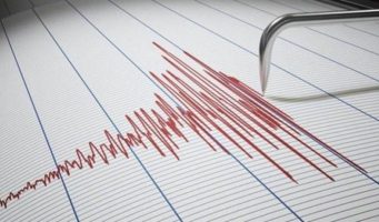 Как защитить свой дом от землетрясений? Необычный способ вызвал широкое обсуждение