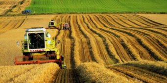 В Турцию за 18 лет ввезли сельскохозяйственной продукции на 104,6 млрд долларов
