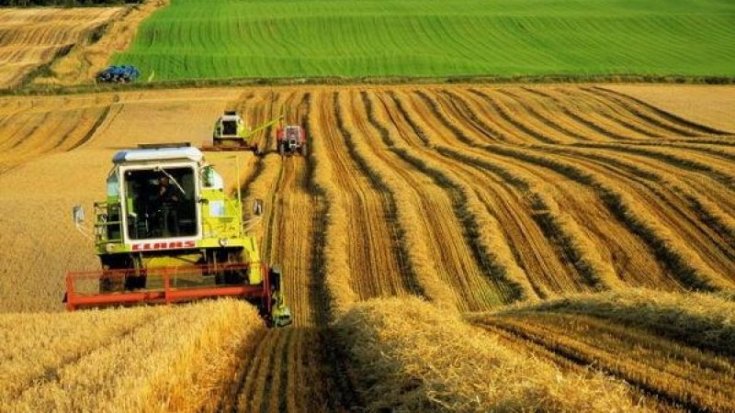 В Турцию за 18 лет ввезли сельскохозяйственной продукции на 104,6 млрд долларов