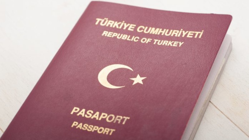 МВД Турции сняло ограничения с 11 тыс. турецких паспортов