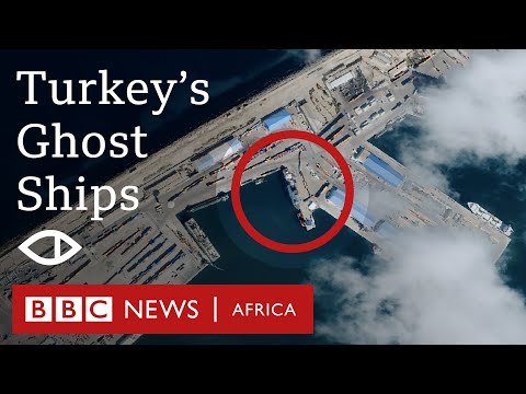 ВВС: Турция нарушает резолюцию ООН и тайно поставляет оружие в Ливию   