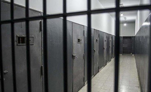 Международные НПО призвали Турцию охватить амнистированием всех заключенных   