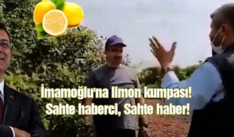 Лимонная провокация. Мэрия Стамбула подаст в суд