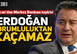 Бабаджан: Эрдоган не избежит ответственности, даже если сменит главу Центробанка