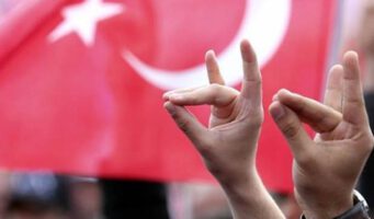 Во Франции официально запретили деятельность турецкой ультранационалистической организации, связанной с партией Эрдогана     