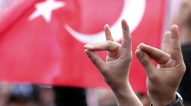 Во Франции официально запретили деятельность турецкой ультранационалистической организации, связанной с партией Эрдогана     