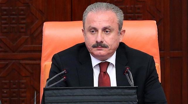 Депутат возмутился количеством советников у спикера парламента Турции   