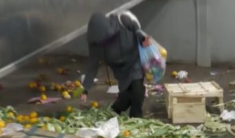 При режиме ПСР турки едят выброшенные в мусор фрукты и овощи