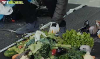 Пользователи возмущены телепередачей о еде из мусора