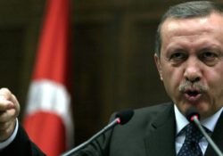 Французская партия призвала ЕС ввести санкции против режима Эрдогана
