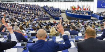 Европейский парламент: «Серые волки» должны быть внесены в «список террористических организаций»   