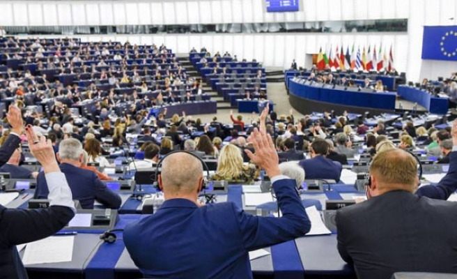 Европейский парламент: «Серые волки» должны быть внесены в «список террористических организаций»   