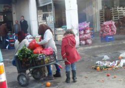 Турки собирают овощи и фрукты, выброшенные в мусор