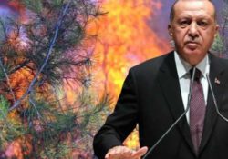 Реакцию на пожары Эрдоган пытается «потушить» перестановками в правительстве