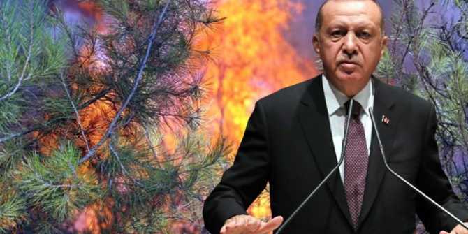 Реакцию на пожары Эрдоган пытается «потушить» перестановками в правительстве