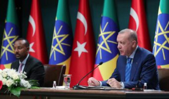 Переводчик Эрдогана не перевела высказывания премьер-министра Эфиопии об Ататюрке   