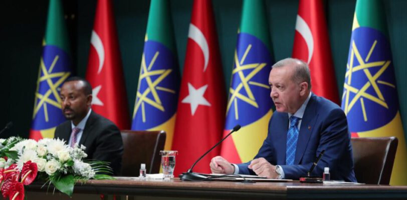Переводчик Эрдогана не перевела высказывания премьер-министра Эфиопии об Ататюрке   