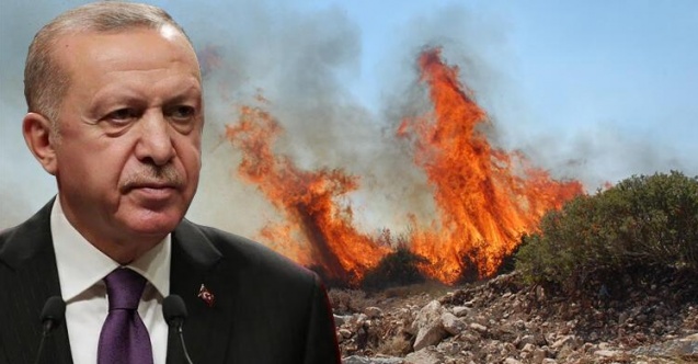 The Economist:  Репутация Эрдогана превратилась в пепел