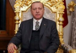 Российский эксперт: Эрдоган корчит из себя или новоявленного султана, или фюрера 